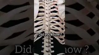 #facts #biology #learnwithme #lifescience #didyouknow