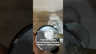 Maxler Golden Creatine. Как принимать креатин &mdash; рассказываю как я его пью.