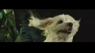 If Not Why Not Showreel '14