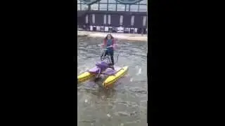 IMG 0575