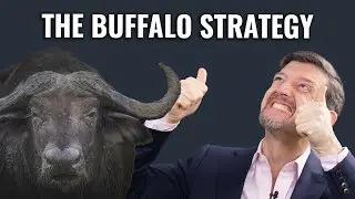 Meet the Mastermind Behind The Buffalo Strategy📈💸