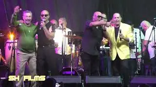 Michael Stuart Hommy Cardona Kenny Cruz Primi  Cruz Junte Arecibe&ntilde;o 2025