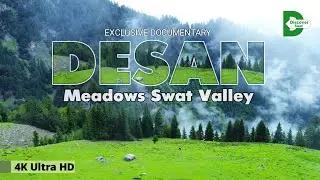 Swat Valley Desan Meadows | Travel Pakistan | Most Beautiful Meadows | Discover Pakistan | KALAM