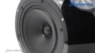 Полочная акустика Elipson Planet L
