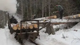 Tapinarii Working in Winter