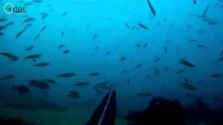 The Deepest darknes, Apnea with variable weight. Las profundas tinieblas, Apnea en peso variable.