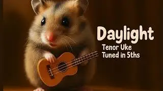 Daylight - Kloviz I Tenor Ukulele Tuned in 5ths #uke #ukulele #fingerstyle #tunedin5ths