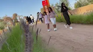 Dubai Escapade