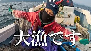 大漁報告！カワハギの猛威