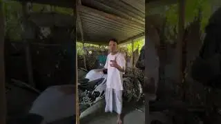 Miyas in Nagaland be like...
