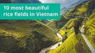 10  most beautiful rice fields in Vietnam