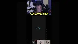 daarick y sylvee