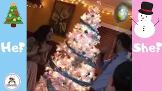 Christmas Gender Reveals and Reactions ( December 2019 ) 2025