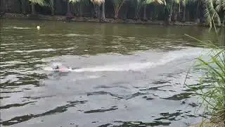 Bash Jet test run