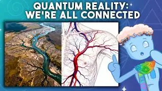 Everything Is Connected &mdash; But Not the Way You Think