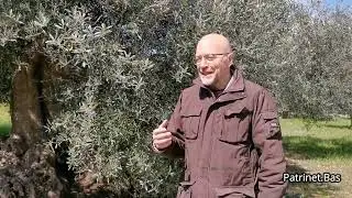 Testimonianza di Sergio Gallo: Agricoltore Custode di  Matera