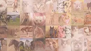 CREATE YOUR OWN FREE MOSAIC VIDEO