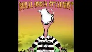 Bokal oseća stvarnost - Mačka