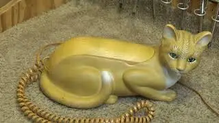 Кошачий телефон Telemania DM-51-001 | Первичный осмотр