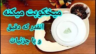 فال قهوه دریم 🔮 ☕️ میخکوبت میکنه انقدر که دقیق و با جزییات هستش ✨