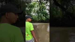 Trail to Jharjhari Waterfall sitakunda Bangladesh || ঝরঝরির পথে সীতাকুন্ড বাংলাদেশ #travel #shorts