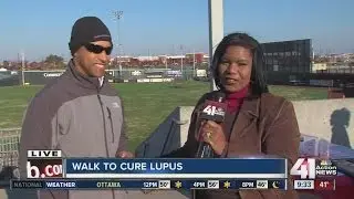 Walk to Cure Lupus