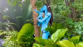 Аватар полный тур 4K - Cloud Forest Avatar The Experience