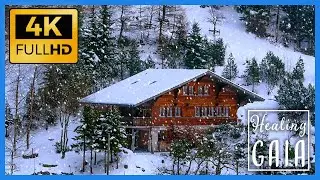 ⛄🌳 [4K] Ambiente de INVIERNO ▶ BOSQUE NEVADO para DORMIR 🌳🚡 [8 HORAS]
