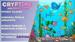 fun-fishermen - Заработок с вложениями. Проект продолжает развиваться. Обзор Новинок