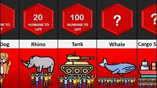How many Humans to lift ?