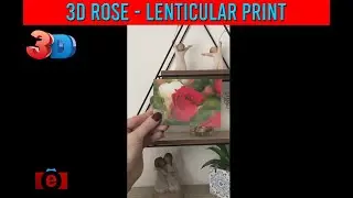 Journey Through Lenticular Art | Stunning 3D Lenticular Postcards by TwenT3