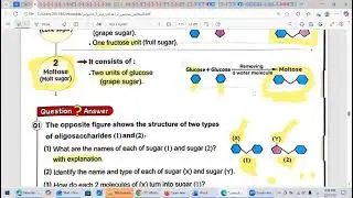 Science - prep 2- lesson three - nutritional chemistry - part1