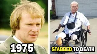The Sweeney (1975&ndash;1978) Cast Then and Now, You'd Never Recognize!