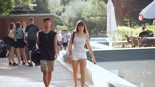 Universitat Jaume I, la universitat pública de Castelló (2024)