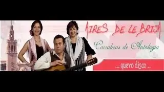 Mira que gracia Sevilla cuando se viste de Feria,sevillanas.