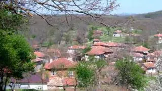 Добромир Йорданов - Три пъти майка близнила