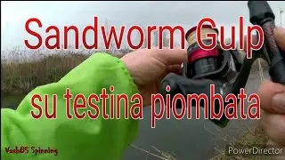 Testina piombata e sandworm Gulp arenicola in fiume