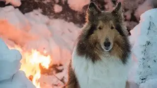 Winter Bushcraft Camp - Mistakes Were Made