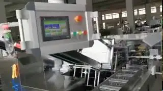 N95 MASKS cartoning machine ,Carton packaging machine