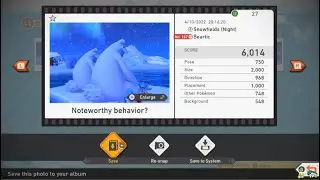 [6014] Beartic 1 - New Pokemon Snap