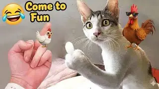 Try Not to Laugh Challenge &ndash; Cat Edition 2025! 😹🔥