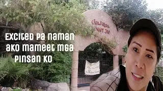 Kuwait Zoo  closed? Friday vlog 3 #ofwlife #kuwaitlife #kuwaitzoo