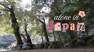 solo date in japan (narita edition)