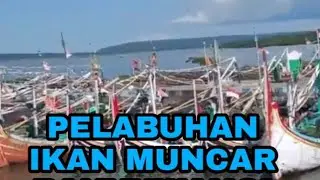 Naik Kapal Nelayan || Keliling Pelabuhan ikan Muncar || Muncar Banyuwangi