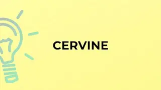 What is the meaning of the word CERVINE?
