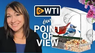 Mrcrafts Window Bird Feeders | Our Point Of View