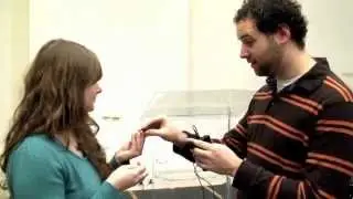 The Christian Aid Collective Internship: Church Services