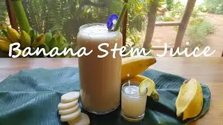 Harvesting Bananas and making Banana Stem Juice