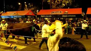 Pasacalle regional de Arequipa 