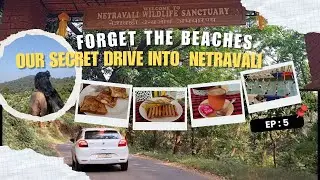 Offbeat Goa & Nature Trails 🌿 | Ep : 5